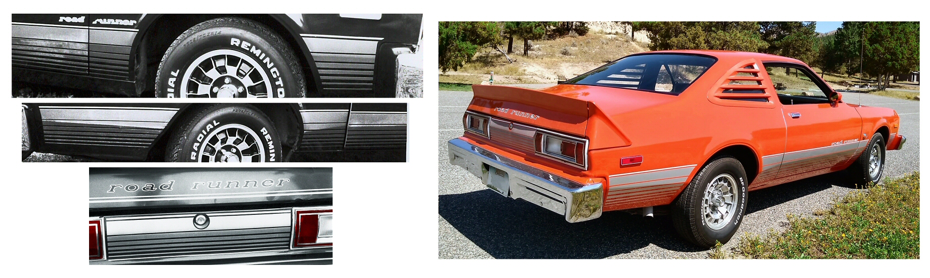 1979 Plymouth Road Runner Volare Stripes/Lettering Decals